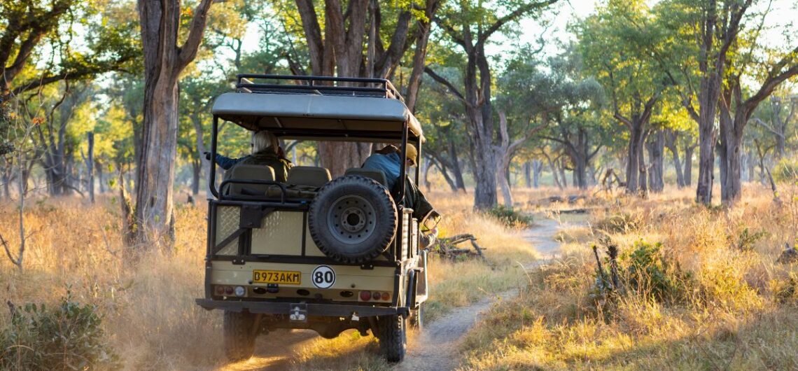 Jeep safari in Ranthambore National Park forest during wildlife safari tour