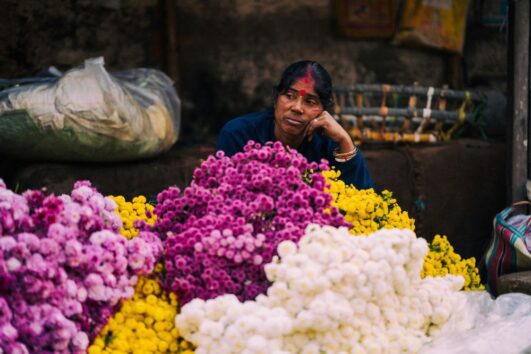 golden-triangle-adventure-6-days-5-nights